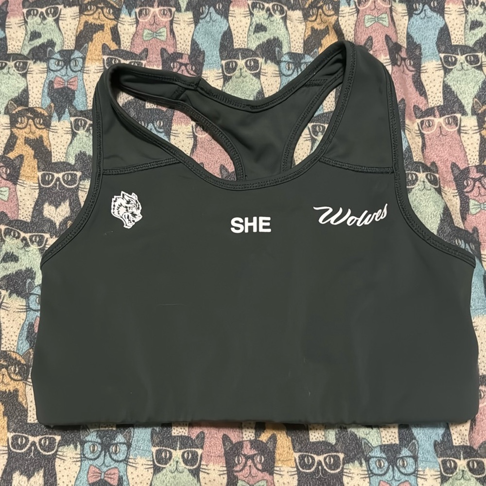 Darc Sport SHEwolf sports bra